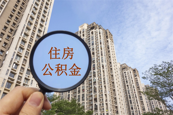 齐河辞职了住房公积金可以全取出来吗（辞职后公积金能全部取出）